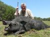 wild-boar-hunting-safaris-53
