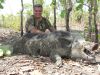 wild-boar-hunting-safaris-56